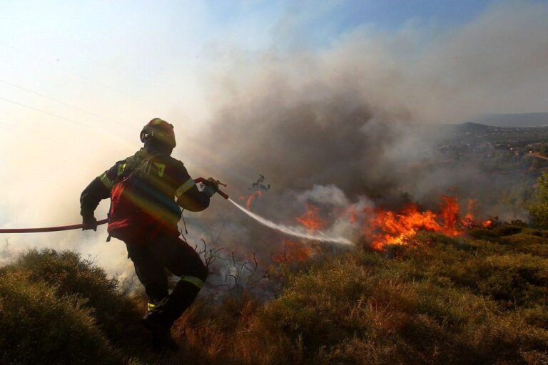 Ζερεφός: Να γίνει ιδιώνυμο αδίκημα η πρόκληση φωτιάς από κάψιμο χόρτων