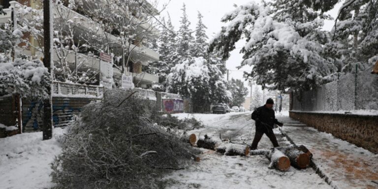 Επιστημονική ανάλυση -«Μήδεια»: Το χιόνι ήταν πιο υγρό και πιο βαρύ, γι’ αυτό έπεσαν πολλά δέντρα