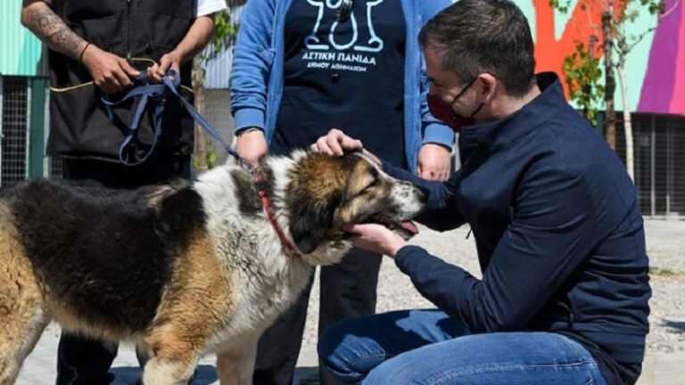 Δήμος Αθηναίων: Έτοιμο το πρώτο σύγχρονο καταφύγιο αδέσποτων ζώων