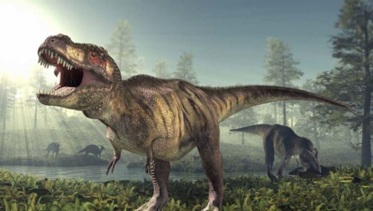 Ανακαλύφθηκε δεινόσαυρος με ύψος 6,5 μέτρα και βάρος 70 τόνων