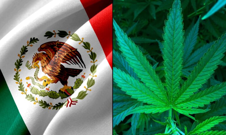 Μεξικό: Αποποινικοποιήθηκε η χρήση μαριχουάνας με απόφαση του Ανωτάτου Δικαστηρίου