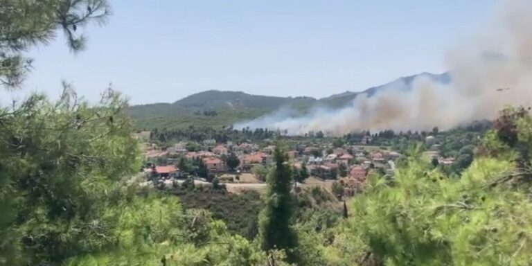 Φωτιά στη Σταμάτα: «Δίνουμε μάχη, προσπαθούμε να σώσουμε τον κόσμο» λέει ο δήμαρχος Διονύσου