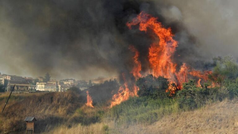 Φωτιά σε κτηνοτροφική μονάδα στην Ελασσόνα – Κάηκαν δεκάδες ζώα