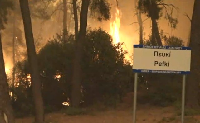 Εύβοια Ανακόπηκε η φωτιά στο Πευκί και υπο έλεγχο στις Γούβες