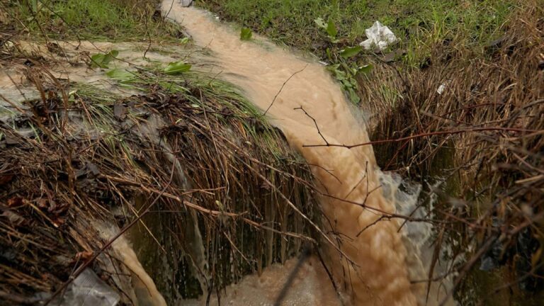 Κακοκαιρία: Πλημμύρισαν σπίτια και αποθήκες σε χωριά της Ηλείας – Πνίγηκαν ζώα