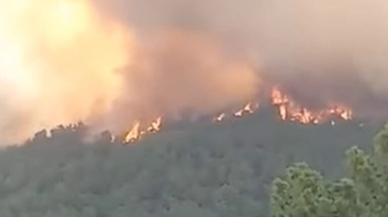 Διαδιά: Οι φλόγες ξεπερνούν τα 20 μέτρα με απειλή για το χωριό