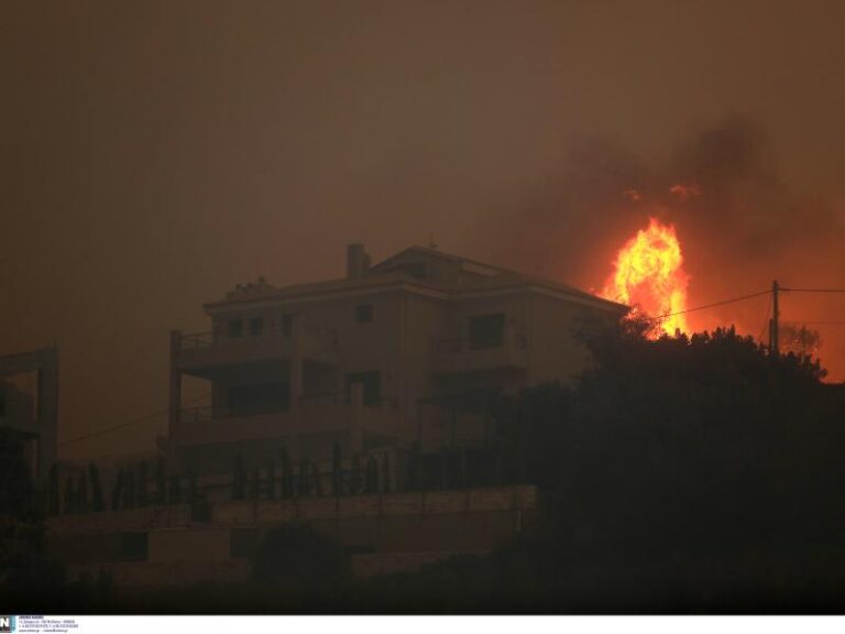 Ενεργοποιείται η πλατφόρμα arogi.gov.gr για τους πληγέντες από τις φωτιές στην Πεντέλη