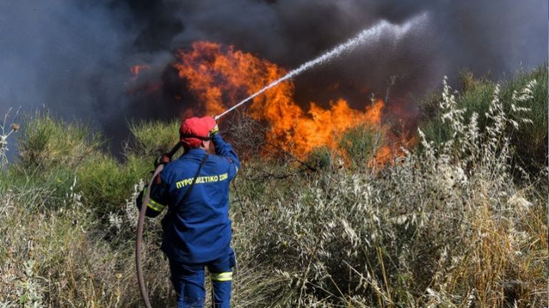 Κρήτη : Φωτιά στο δάσος της Κέρης!