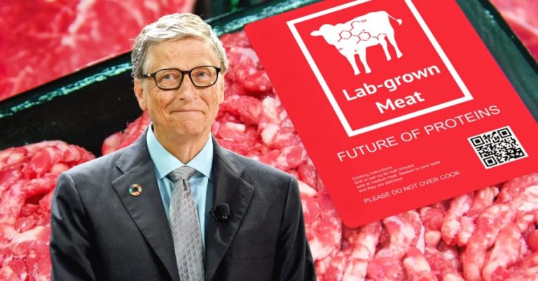 Εταιρείες συνθετικού κρέατος που υποστήριξε ο Bill Gates βρίσκονται στα πρόθυρα της οικονομικής κατάρρευσης