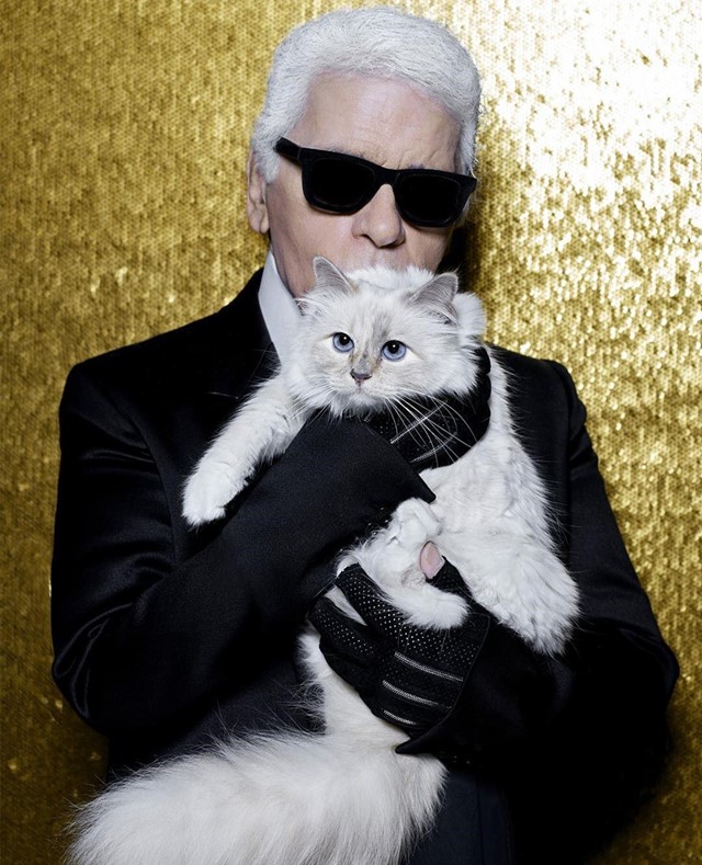 Choupette: Η γάτα του Κarl Lagerfeld επίσημη καλεσμένη σε γκαλά