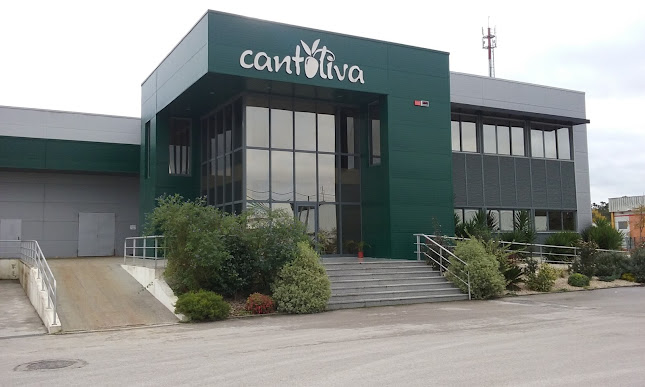 Ποια είναι η Cantoliva, που επιδιώκει συνεργασίες με ελληνικές εταιρείες παραγωγής βρώσιμης ελιάς