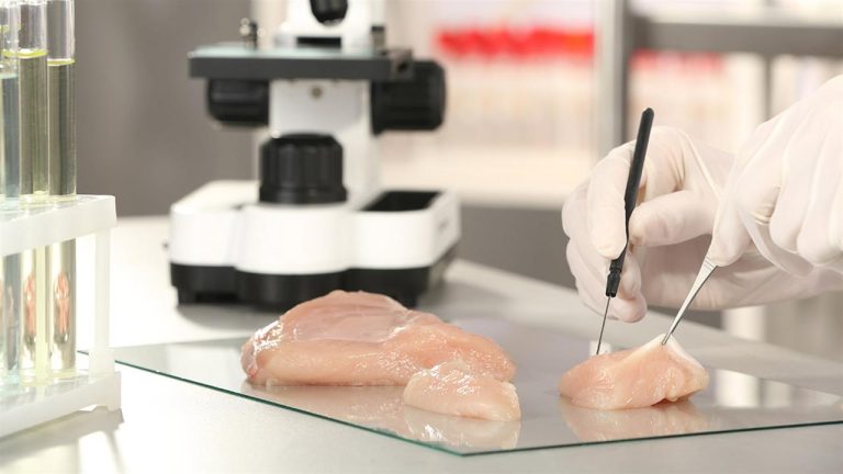 ΗΠΑ: Εγκρίθηκε η πώληση κοτόπουλου που παρασκευάζεται από… καλλιεργημένα κύτταρα
