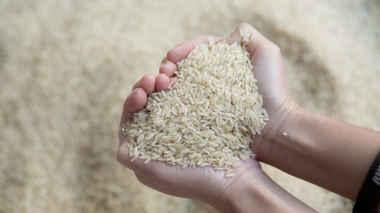 Σκαρφαλώνουν στα υψηλότερα επίπεδά τους οι τιμές του ρυζιού στην Ασία