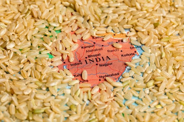 Ινδία: Σκέψεις για απαγόρευση μεγάλου μέρους των εξαγωγών ρυζιού