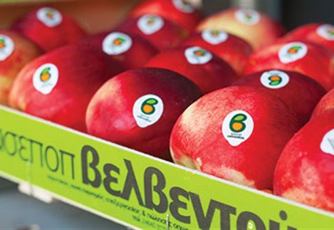 ΑΣΕΠΟΠ Βελβεντού: Επενδύσεις 30 εκατ. ευρώ με στόχο τη διείσδυση σε περισσότερες αγορές του εξωτερικού για τα ελληνικά φρούτα