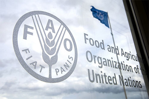 Έκθεση της Οργάνωσης Τροφίμων και Γεωργίας του ΟΗΕ (FAO)-Ποιος τομέας ευθύνεται για το 12% των εκπομπών αερίου του θερμοκηπίου