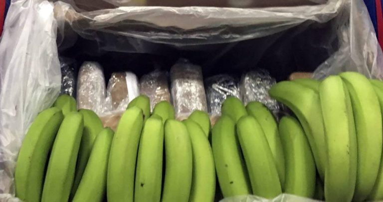 Το βαπόρι από το Εκουαδόρ μέσα στις μπανάνες είχε ποσότητα κοκαΐνης αξίας 2.800.000€.