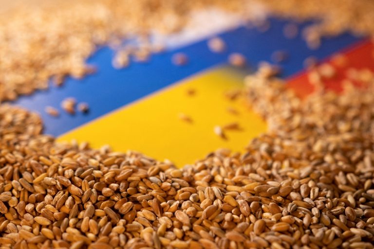 ΕΕ: Σχέδιο για «καπέλο» 95 ευρώ ανά τόνο δημητριακών από Ρωσία και Λευκορωσία