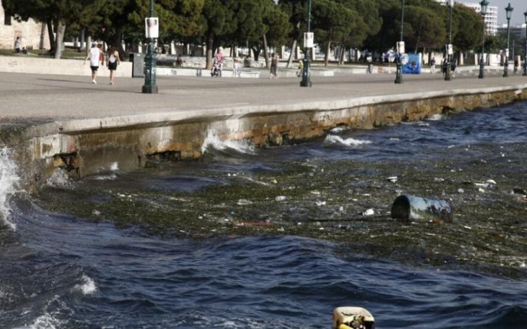 Θεσσαλονίκη: Αποκρουστική εικόνα στον Θερμαϊκό με σκουπίδια και βλέννες
