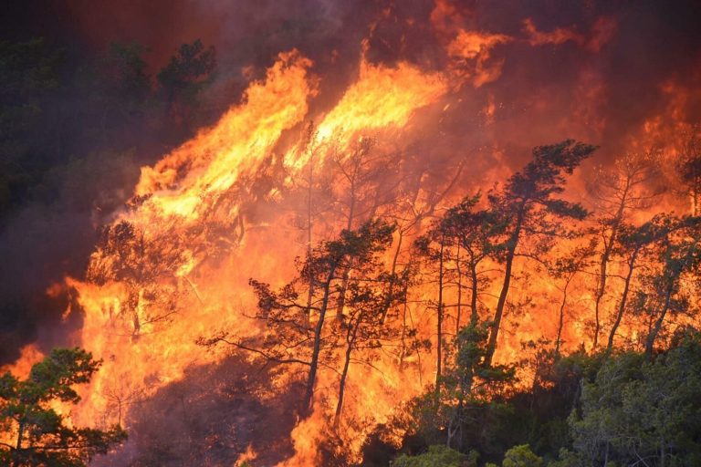 Τουρκία στο έλεος των πυρκαγιών – 16 φωτιές μόνο στον νομό της Σμύρνης