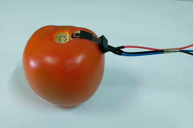 Η συσκευή που «φοριέται» σε φρούτα – λαχανικά και μετράει τα φυτοφάρμακα