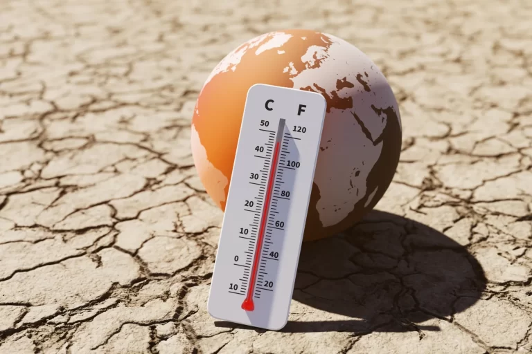 Ο ΟΗΕ κάνει για πρώτη φορά λόγο για «επιδημία ακραίας ζέστης» και καλεί σε δράση για να σωθούν ζωές