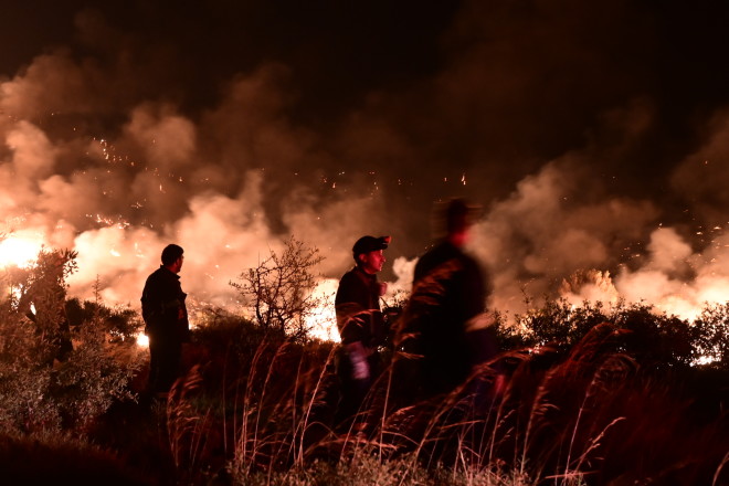 Στις φλόγες η Νότια Εύβοια: Εκκένωση σε Πετριές και Κριεζά – Eπιχειρούν τα εναέρια μέσα