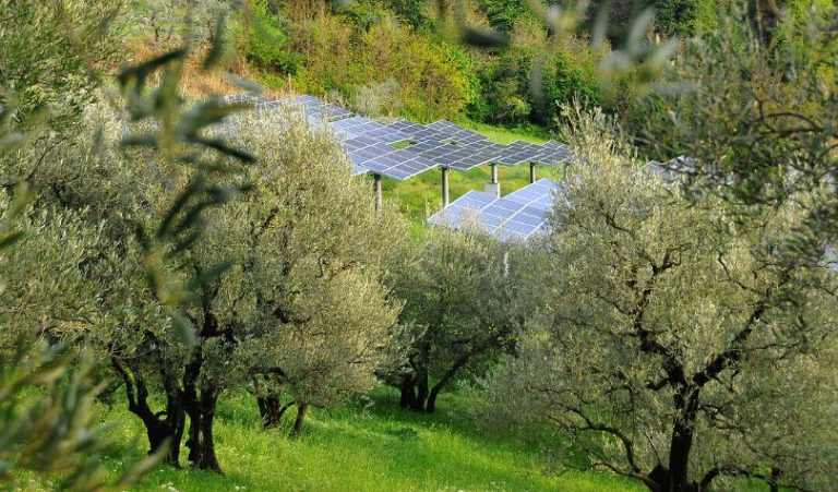 Η Ιταλία απαγορεύει τα φωτοβολταϊκά για να διασώσει την αγροτική γη