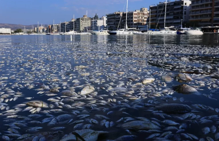 Καθάρισε ο Παγασητικός από τα νεκρά ψάρια αλλά εξακολουθεί η απαγόρευση κολύμβησης